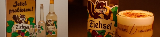Ziehsel